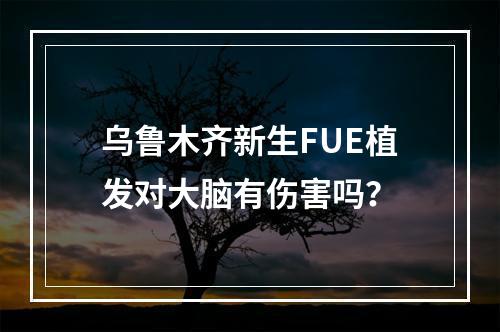 乌鲁木齐新生FUE植发对大脑有伤害吗？