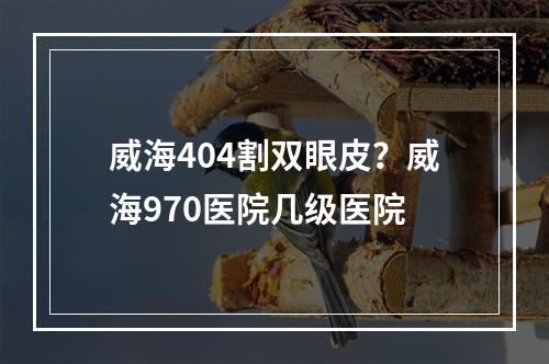 威海404割双眼皮？威海970医院几级医院