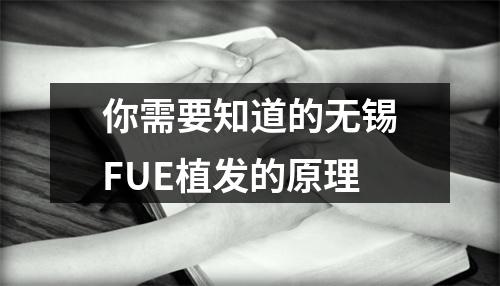 你需要知道的无锡FUE植发的原理