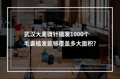 武汉大麦微针植发1000个毛囊植发能够覆盖多大面积？