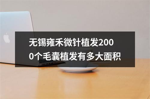 无锡雍禾微针植发2000个毛囊植发有多大面积