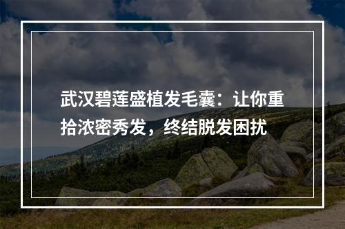 武汉碧莲盛植发毛囊：让你重拾浓密秀发，终结脱发困扰