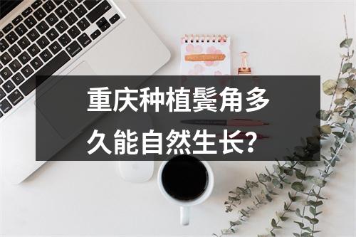 重庆种植鬓角多久能自然生长？