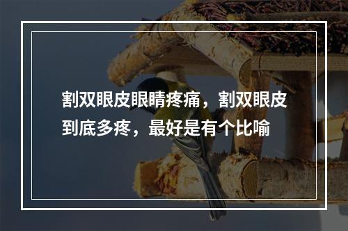 割双眼皮眼睛疼痛，割双眼皮到底多疼，最好是有个比喻