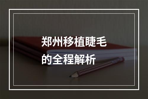 郑州移植睫毛的全程解析