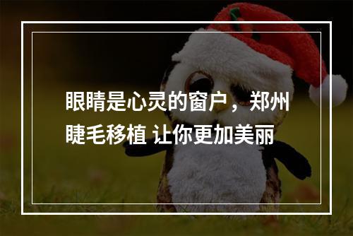 眼睛是心灵的窗户，郑州睫毛移植 让你更加美丽