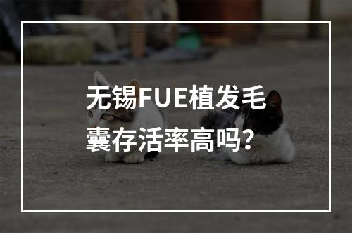 无锡FUE植发毛囊存活率高吗？