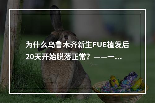 为什么乌鲁木齐新生FUE植发后20天开始脱落正常？——一个医生的视角