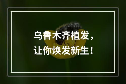 乌鲁木齐植发，让你焕发新生！