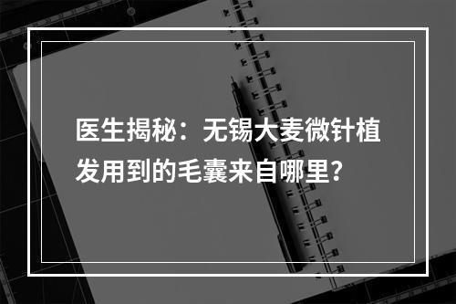 医生揭秘：无锡大麦微针植发用到的毛囊来自哪里？