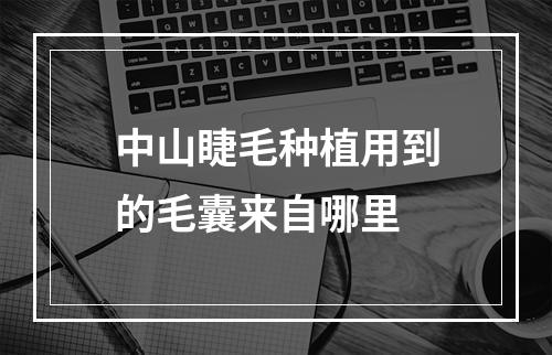 中山睫毛种植用到的毛囊来自哪里