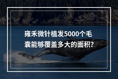 雍禾微针植发5000个毛囊能够覆盖多大的面积？