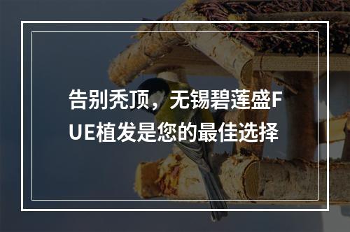 告别秃顶，无锡碧莲盛FUE植发是您的最佳选择