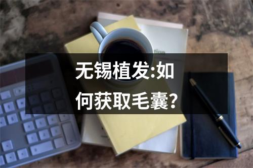 无锡植发:如何获取毛囊？