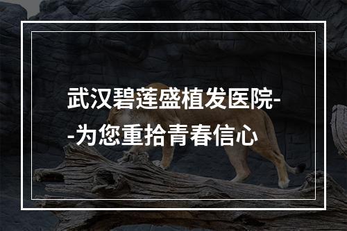 武汉碧莲盛植发医院--为您重拾青春信心