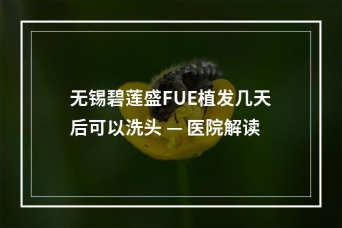 无锡碧莲盛FUE植发几天后可以洗头 — 医院解读