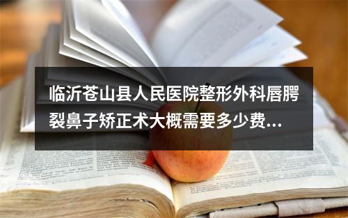 临沂苍山县人民医院整形外科唇腭裂鼻子矫正术大概需要多少费用