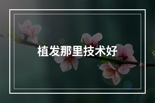 植发那里技术好