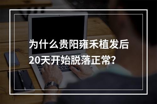 为什么贵阳雍禾植发后20天开始脱落正常？