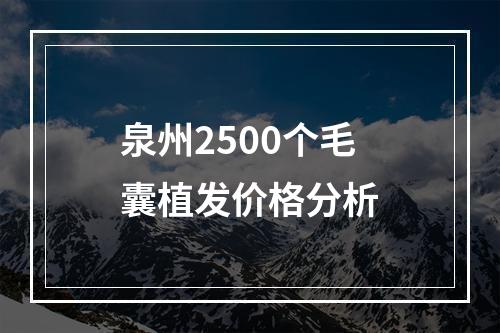 泉州2500个毛囊植发价格分析