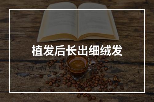 植发后长出细绒发