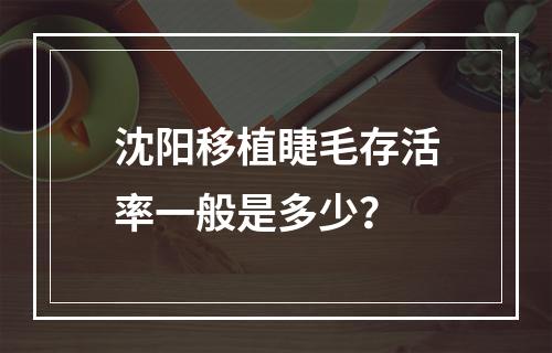 沈阳移植睫毛存活率一般是多少？