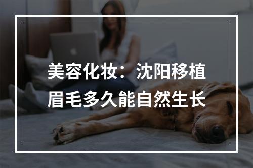 美容化妆：沈阳移植眉毛多久能自然生长