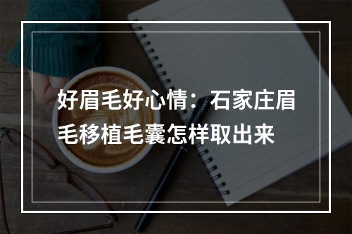 好眉毛好心情：石家庄眉毛移植毛囊怎样取出来