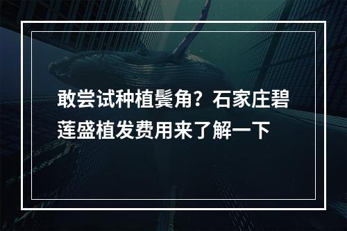 敢尝试种植鬓角？石家庄碧莲盛植发费用来了解一下