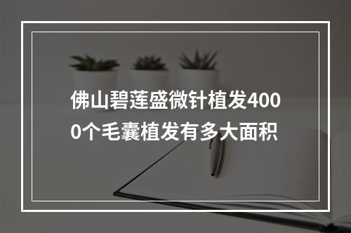 佛山碧莲盛微针植发4000个毛囊植发有多大面积