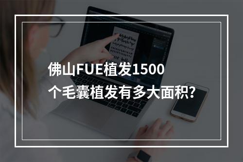 佛山FUE植发1500个毛囊植发有多大面积？