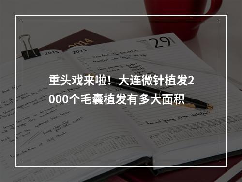 重头戏来啦！大连微针植发2000个毛囊植发有多大面积