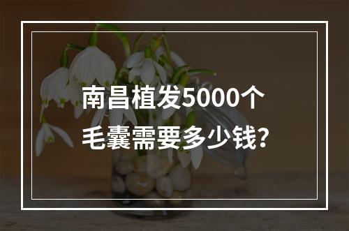 南昌植发5000个毛囊需要多少钱？