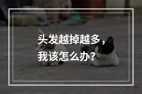 头发越掉越多，我该怎么办？