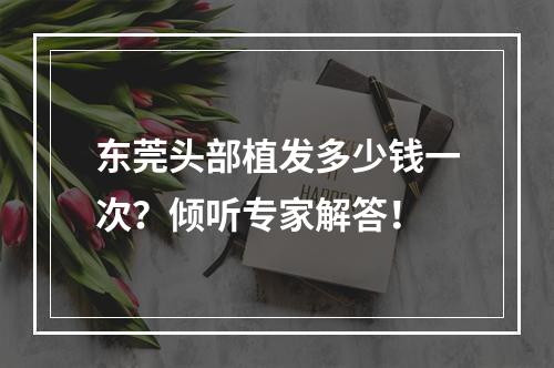 东莞头部植发多少钱一次？倾听专家解答！