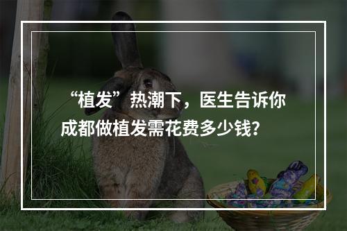 “植发”热潮下，医生告诉你成都做植发需花费多少钱？