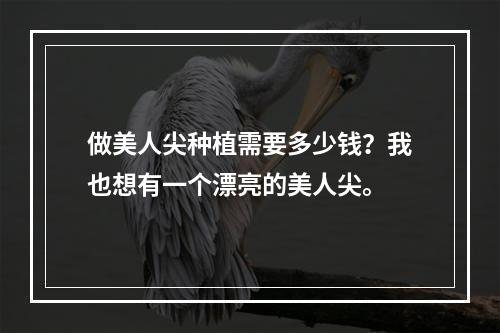 做美人尖种植需要多少钱？我也想有一个漂亮的美人尖。