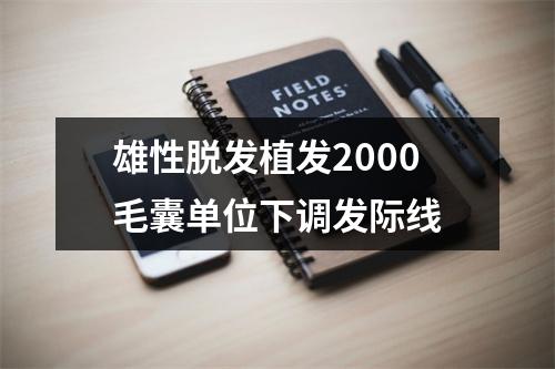 雄性脱发植发2000毛囊单位下调发际线