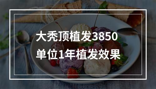 大秃顶植发3850单位1年植发效果