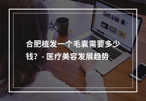 合肥植发一个毛囊需要多少钱？- 医疗美容发展趋势