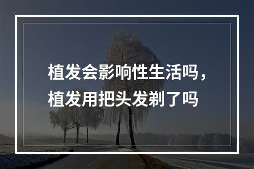 植发会影响性生活吗，植发用把头发剃了吗