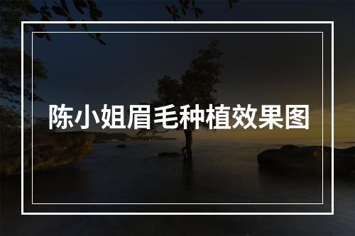 陈小姐眉毛种植效果图