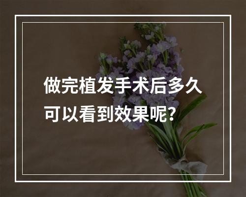 做完植发手术后多久可以看到效果呢？