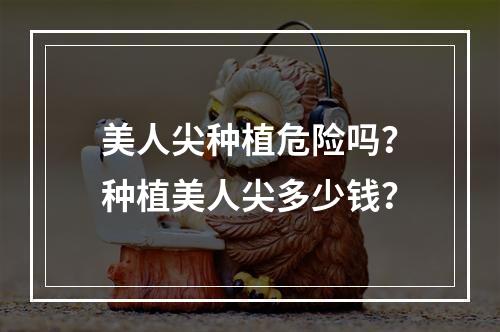 美人尖种植危险吗？种植美人尖多少钱？