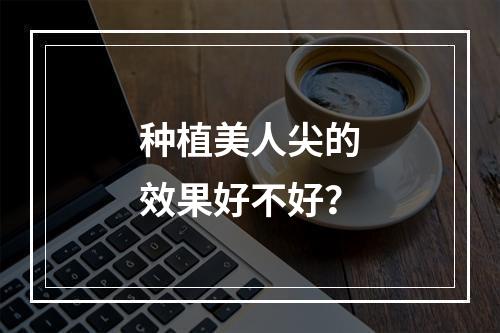 种植美人尖的效果好不好？