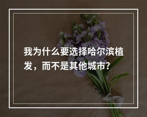 我为什么要选择哈尔滨植发，而不是其他城市？