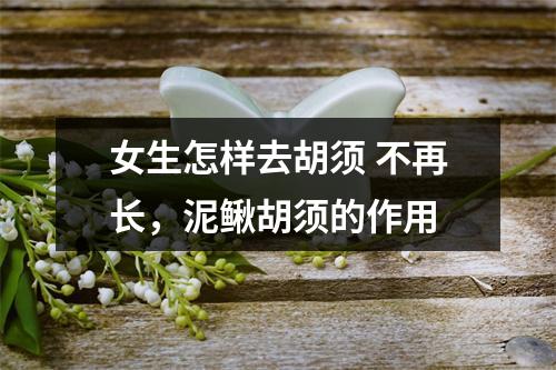 女生怎样去胡须 不再长，泥鳅胡须的作用