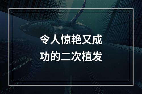 令人惊艳又成功的二次植发