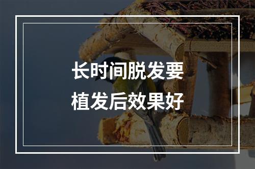 长时间脱发要植发后效果好