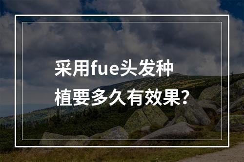 采用fue头发种植要多久有效果？